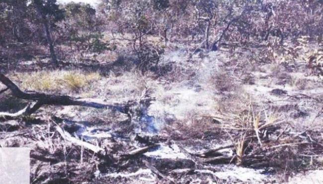 Fazendeiro é multado em R$ 10,4 milhões por queimada no Pantanal em MT