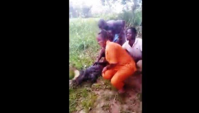 Grupo de turistas tenta foto com crocodilo e mulher acaba mordida