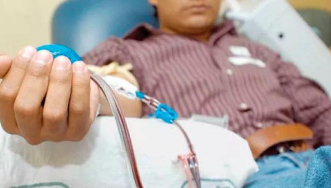 Hemofilia: quase 13 mil pacientes estão cadastrados no Brasil