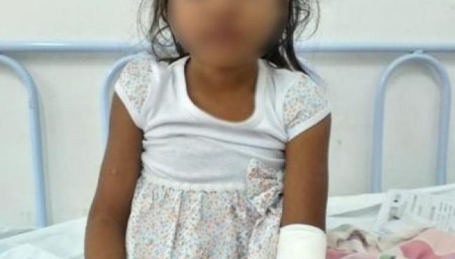 Menina de 4 anos sobrevive após cinco dias perdida na floresta amazônica
