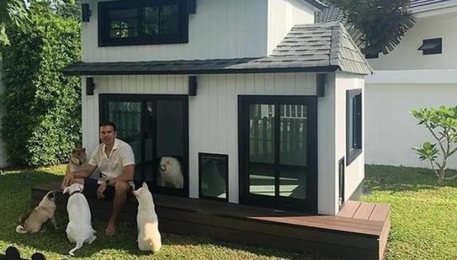 Milionário constrói mini mansão de R$ 50 mil para cachorros, mas eles se recusam a “morar” nela