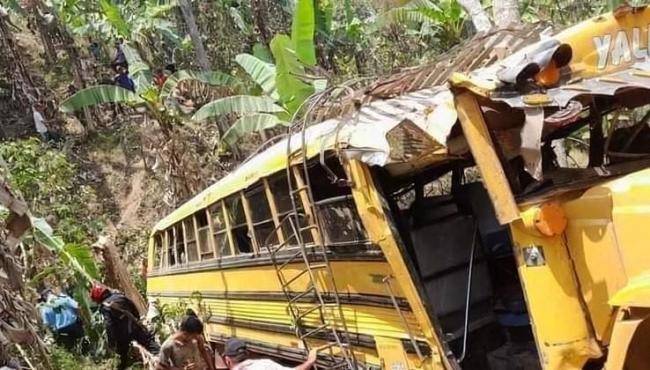 Ônibus cai em abismo onde havia enxame de abelhas-africanas e deixa seis mortes