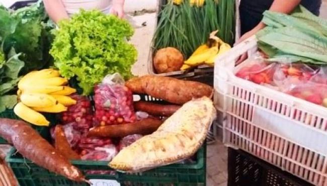 Setades realiza consulta pública para Plano Estadual de Segurança Alimentar