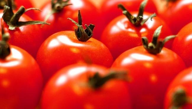 Tratamento alternativo em sementes de tomate cereja orgânico é tema de 