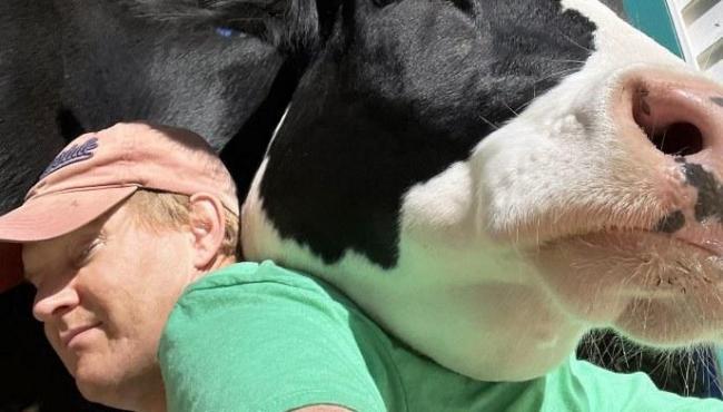 Vaca ‘invade’ casa todos os dias para dar abraço em homem
